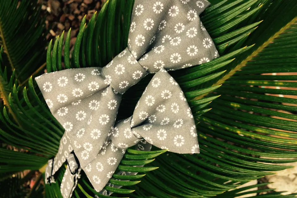 Le prince charmant n'existe pas — photo 8