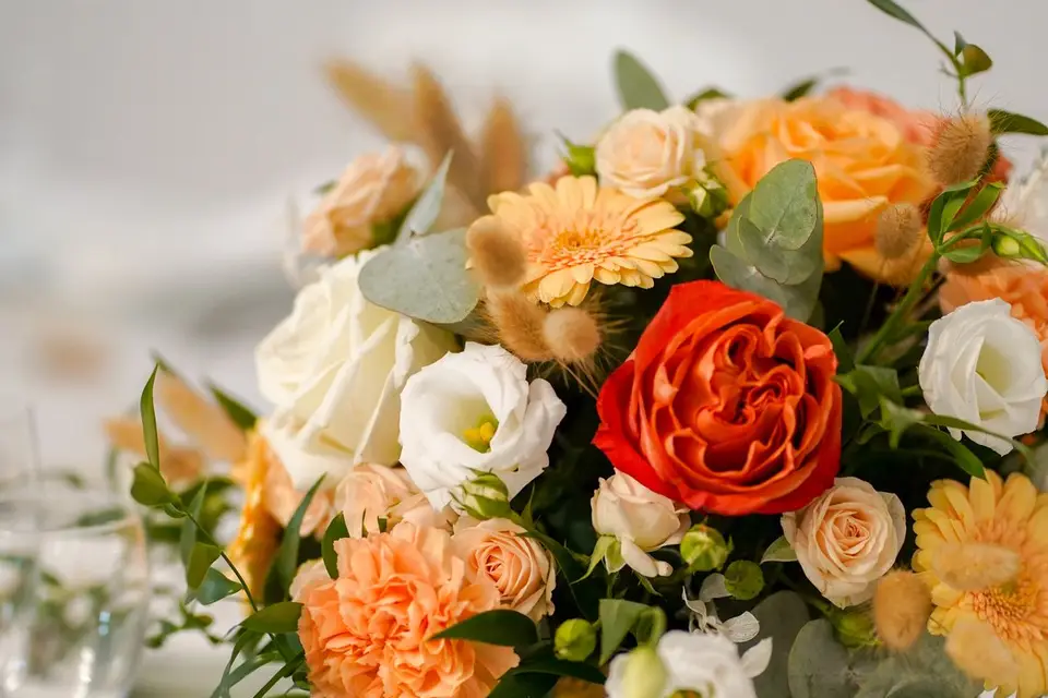 Jim-Productions — photo 4