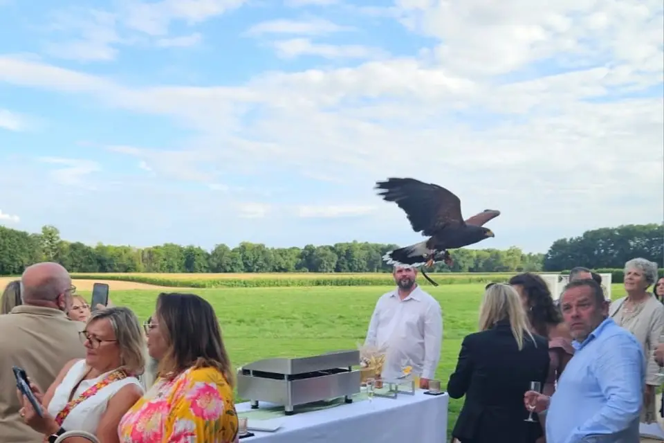 Fauconnerie Evenementielle — photo 7