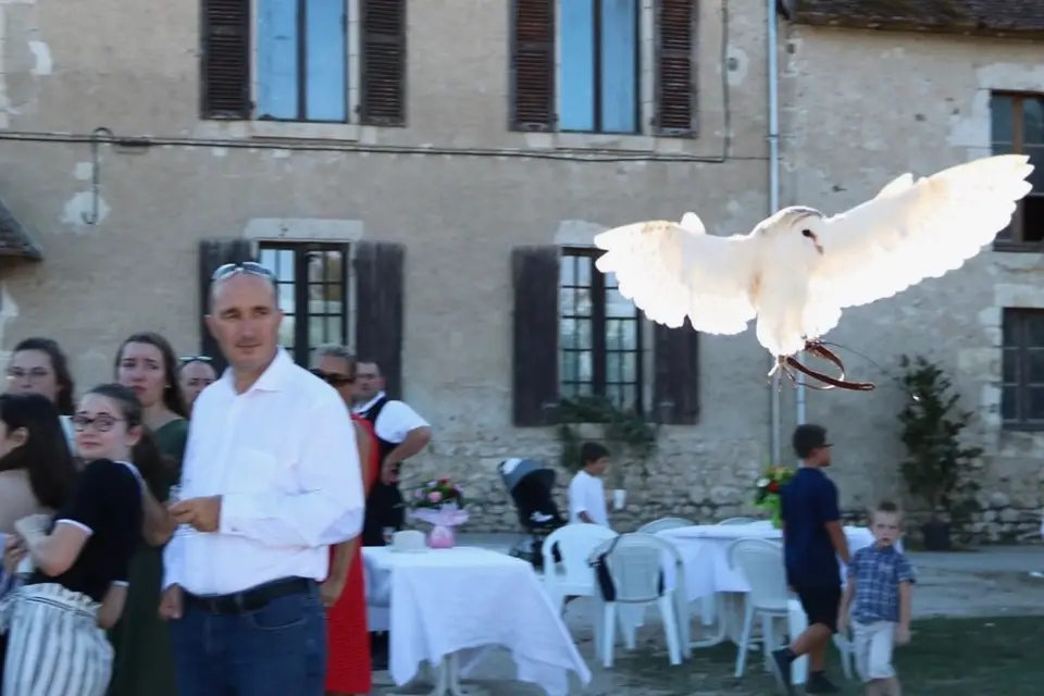 Fauconnerie Evenementielle — photo 4