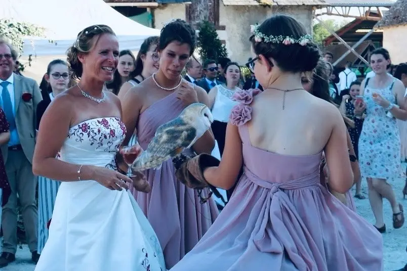 Fauconnerie Evenementielle — photo 2