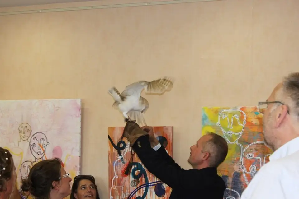 Fauconnerie Evenementielle — photo 6