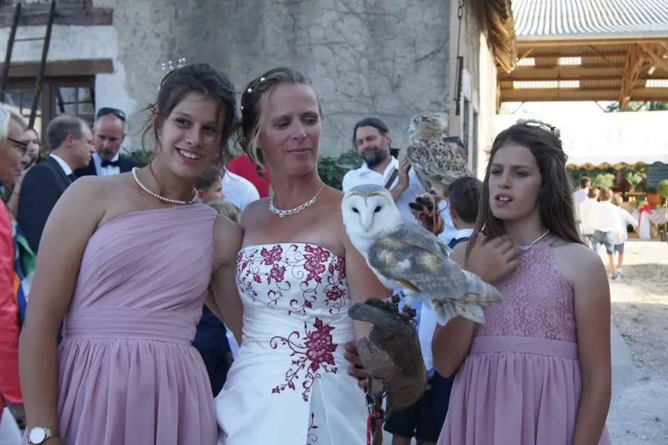 Fauconnerie Evenementielle