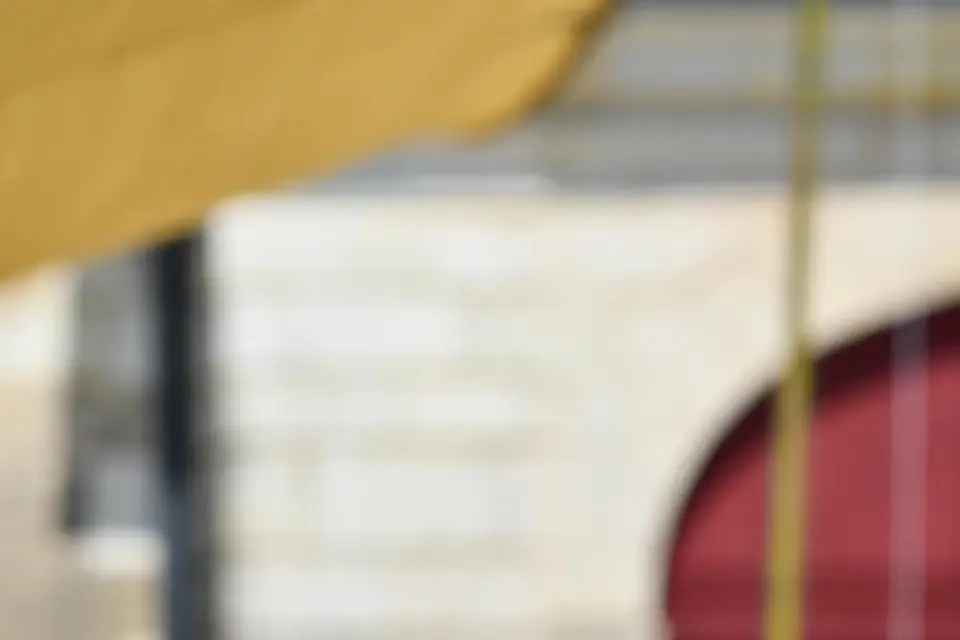 Fauconnerie Evenementielle — photo 8