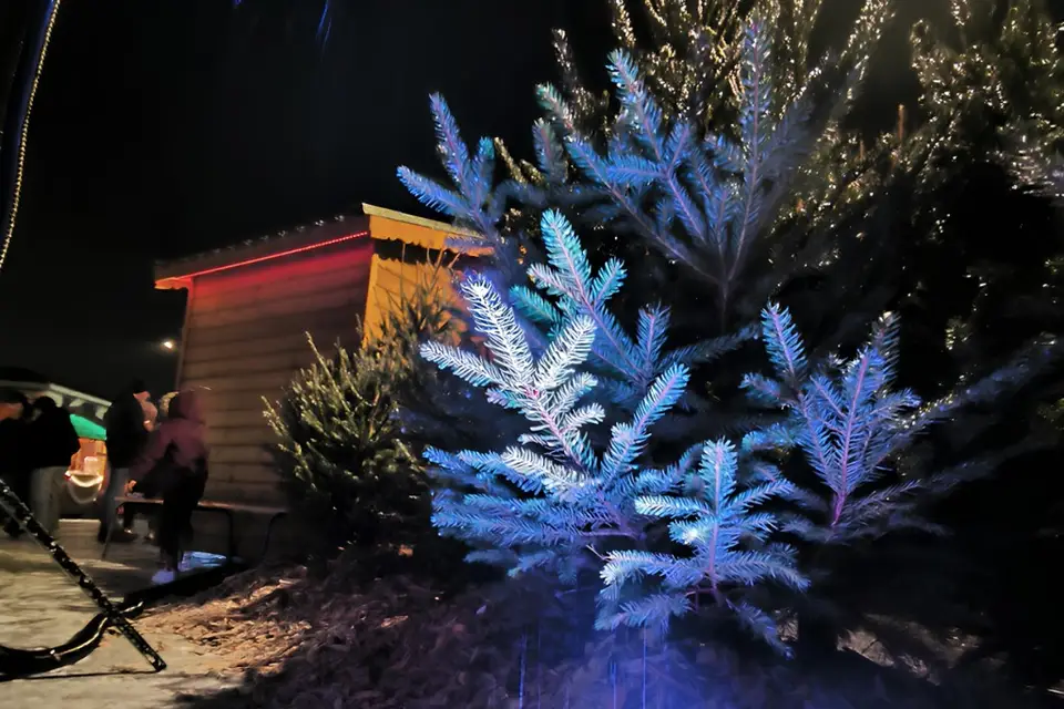 FRN Artifice — photo 4