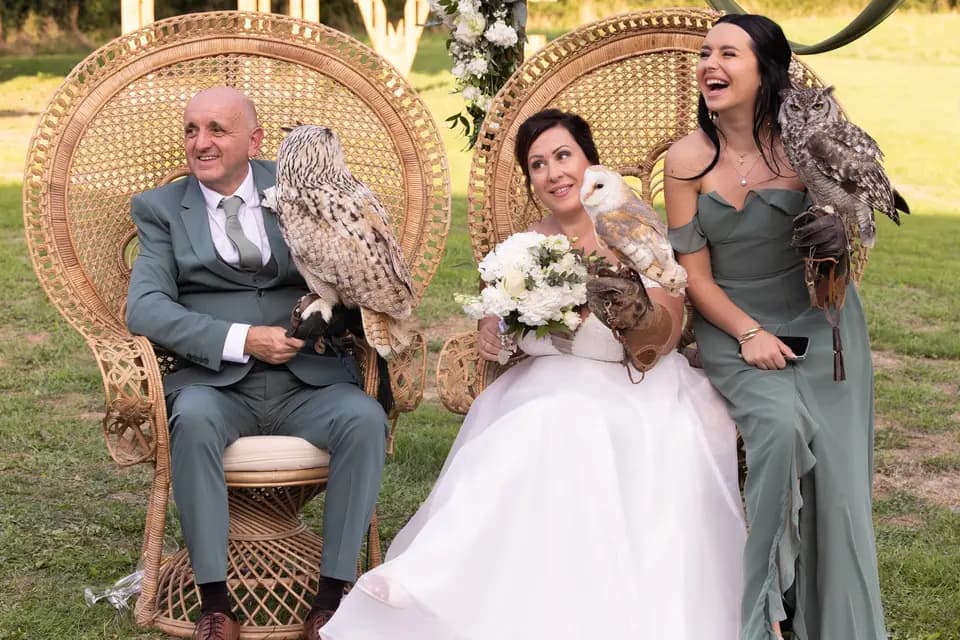 Fauconnerie Evenementielle — photo 1