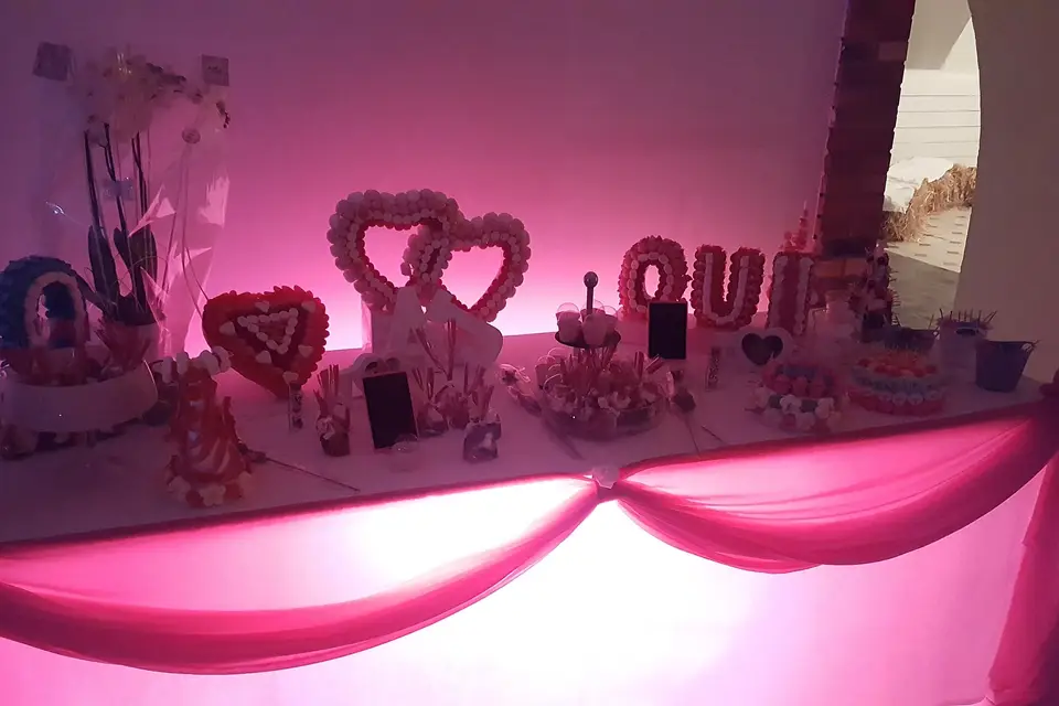 Event-Evenements — photo 7