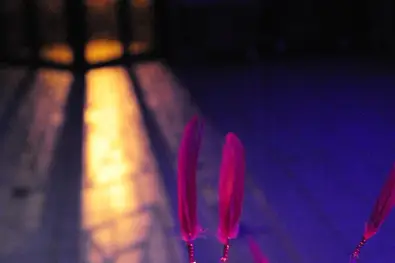 Wedding & Vous — photo 5