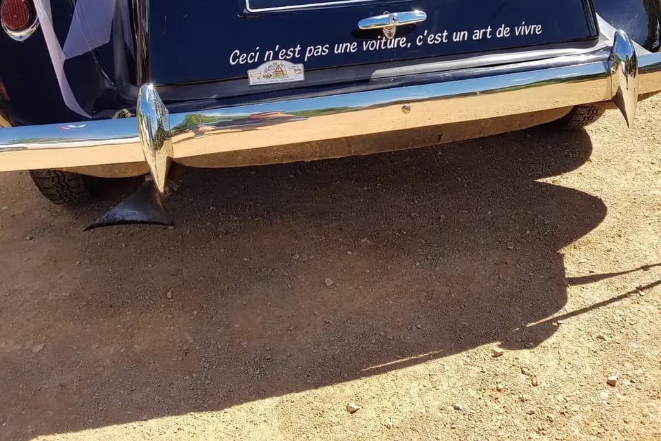 E.P. Delaveau — photo 8