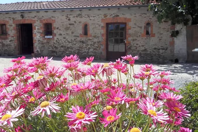 Gîte Rural La Guichetière — photo 8