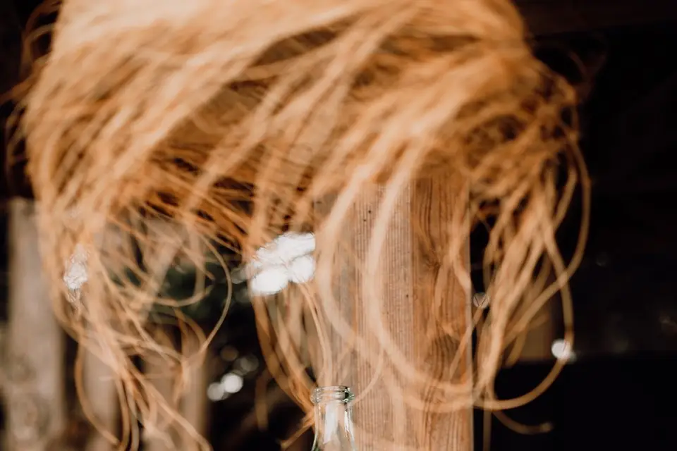 D.Evénement — photo 6