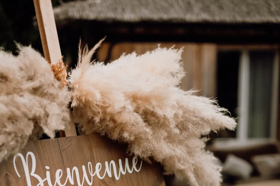 D.Evénement — photo 8