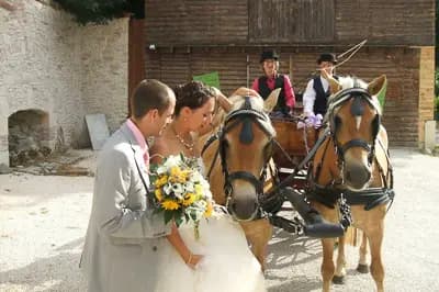 Les Attelages du Tsar — photo 4