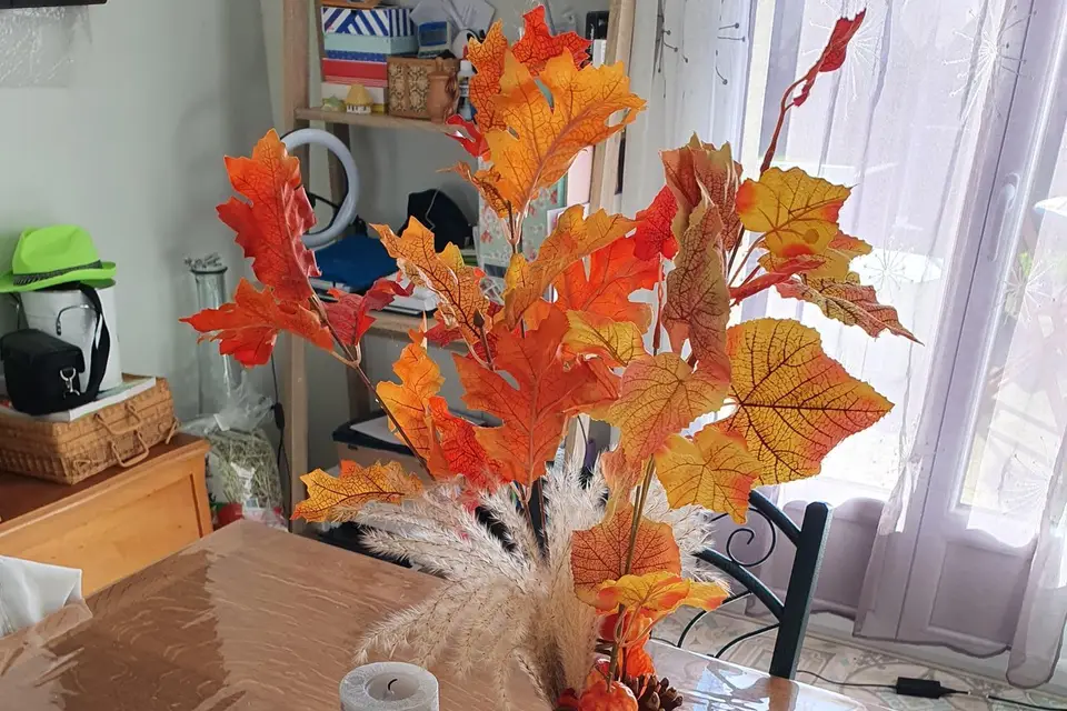 Com'un Jour — photo 5