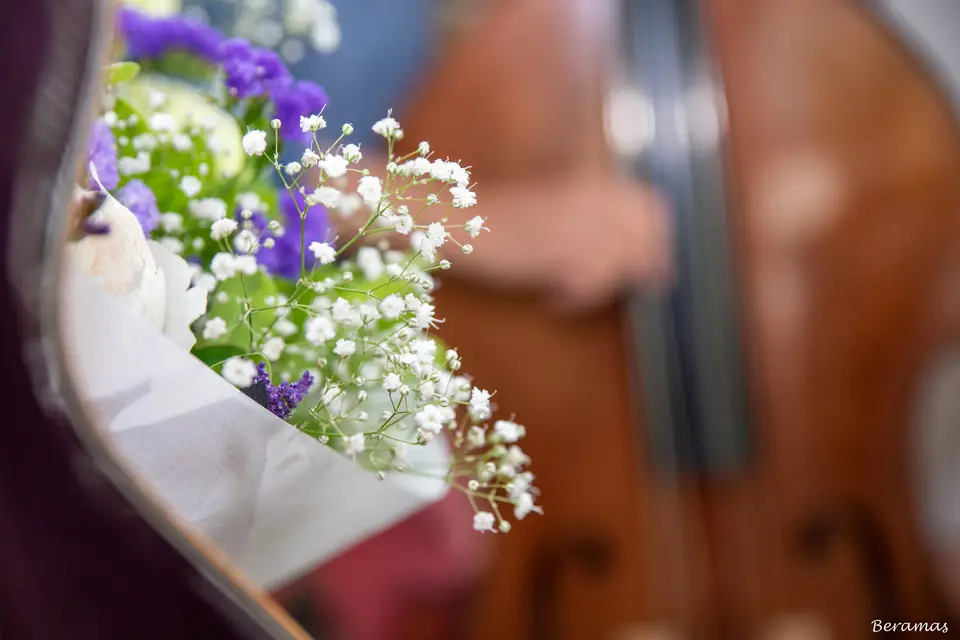 Atelier Santoline — photo 4