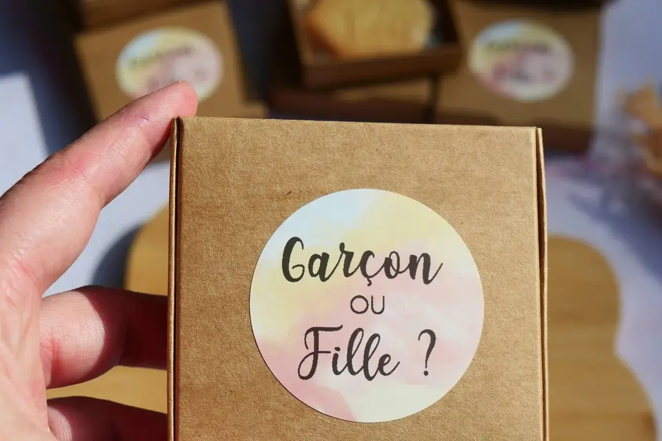 Super Beescuits — photo 7