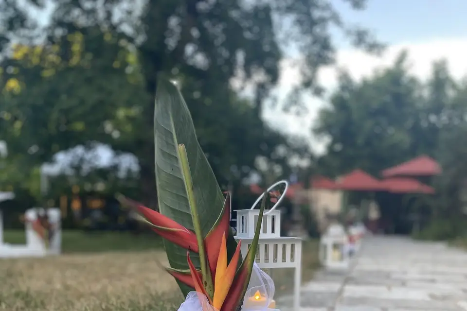 Elles & A Events — photo 5