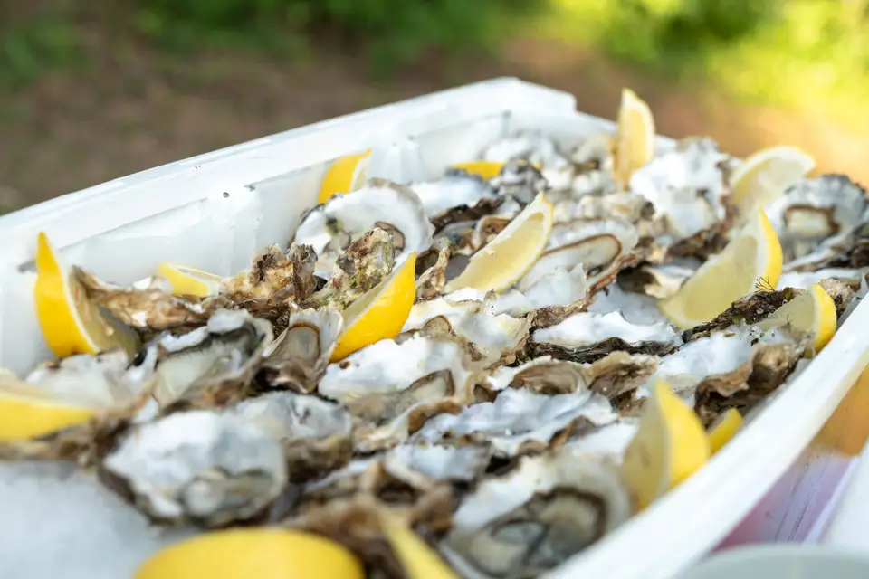 Dusfour Traiteur — photo 7