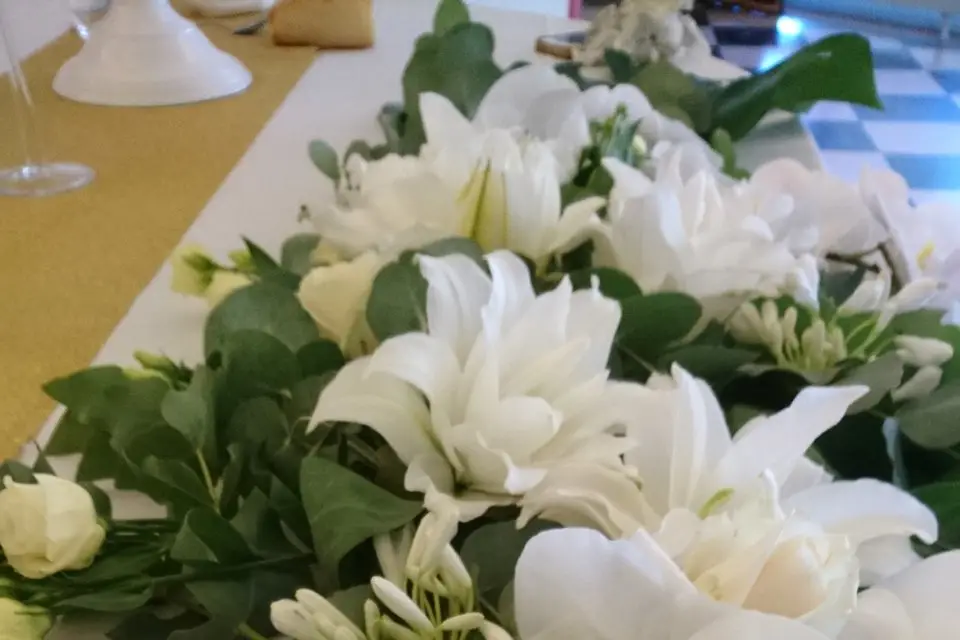 Du Rose dans les Étoiles — photo 1