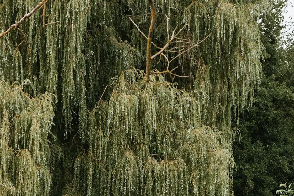 Domaine du Château Vert — photo 4