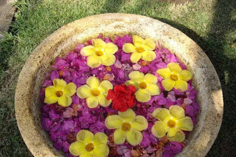 LuxEvasion — photo 4