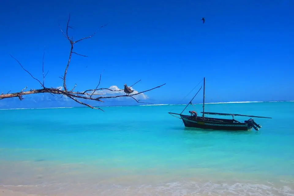 LuxEvasion — photo 8