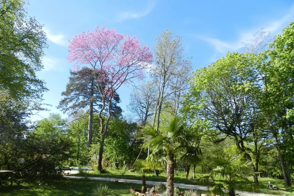 Domaine de l'Ocrerie — photo 1