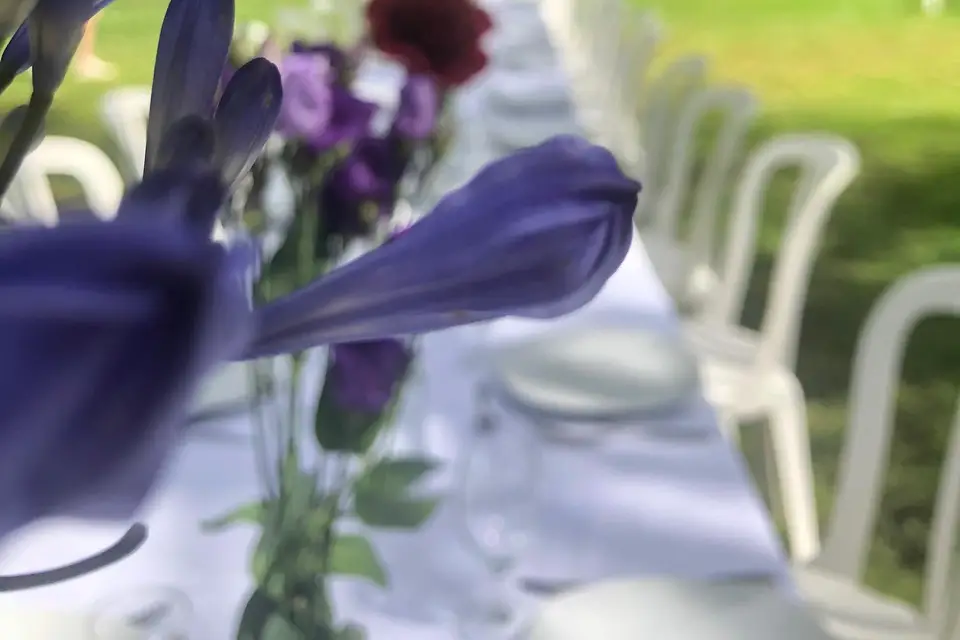 Domaine de l'Ocrerie — photo 7