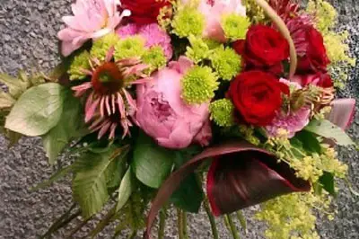 Canopée — photo 4