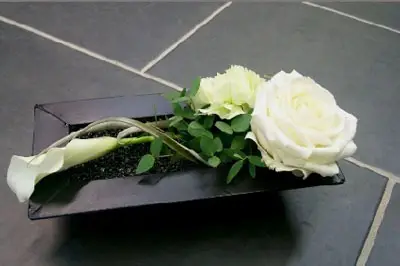 Canopée — photo 8