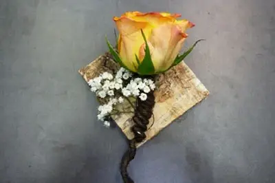 Canopée — photo 6