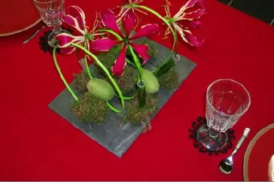 Canopée — photo 3