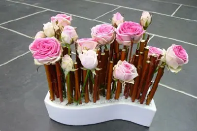 Canopée — photo 7