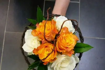 Canopée — photo 1