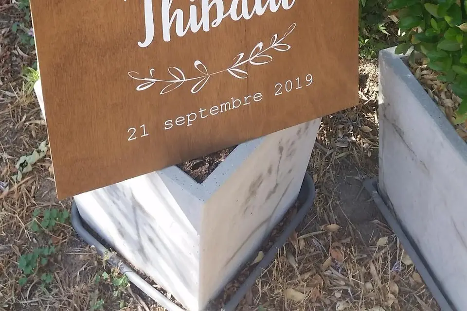 Patines et Patata — photo 2