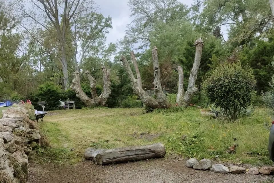 Le Moulin d'Issanka — photo 3