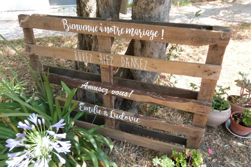 Patines et Patata — photo 4