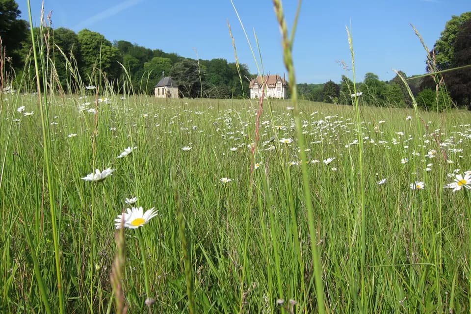 Château de Chambly — photo 5