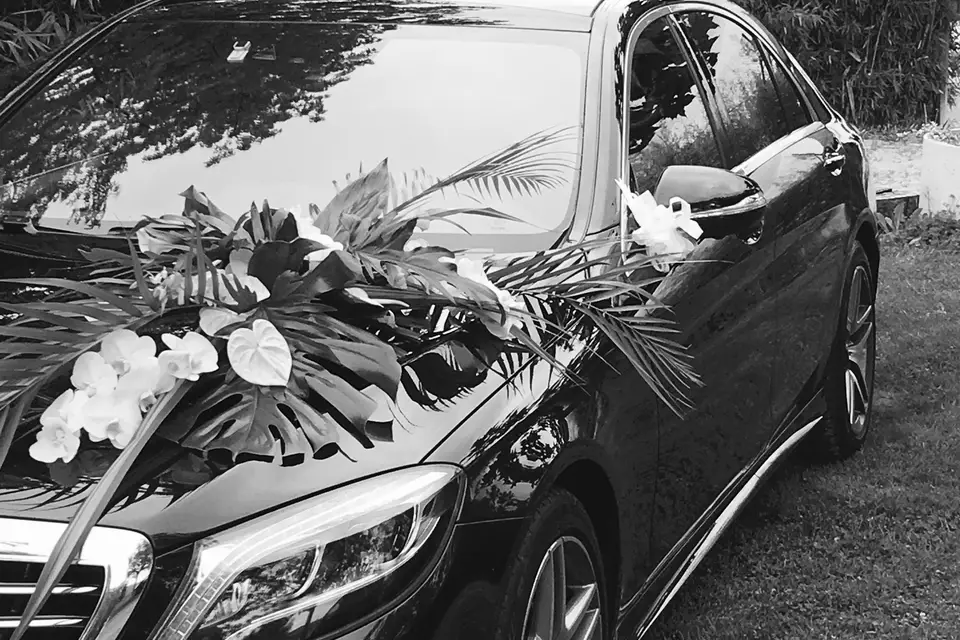 Prestige GT France — photo 6