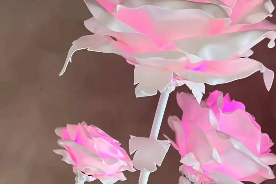 LadyBloom — photo 7