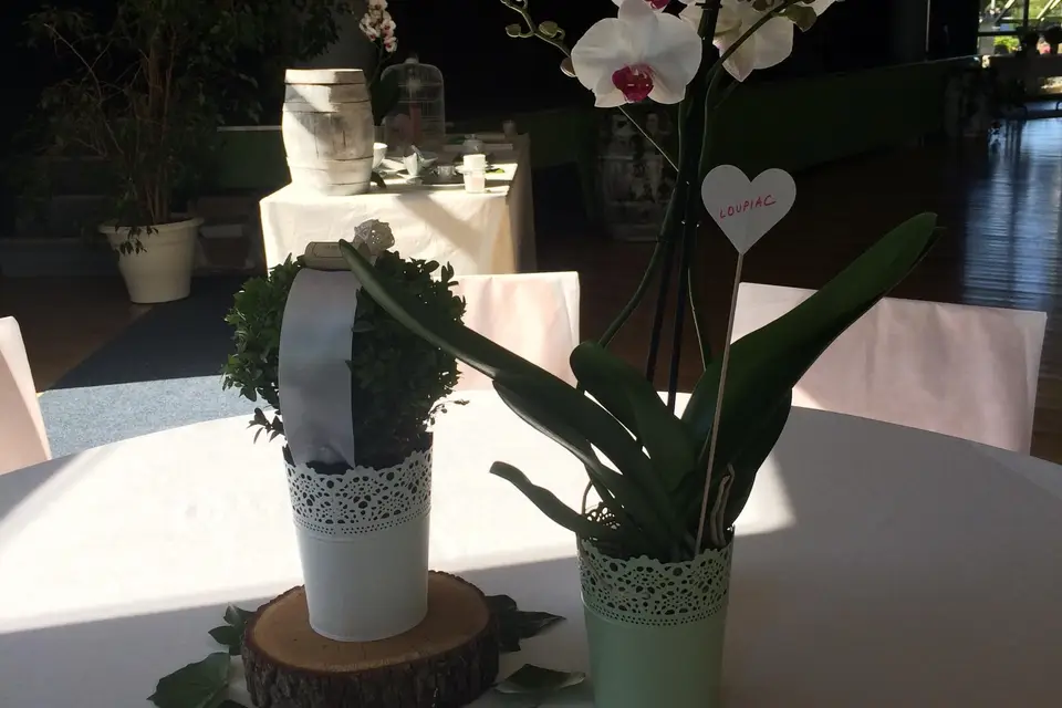 Maison Meillant — photo 7