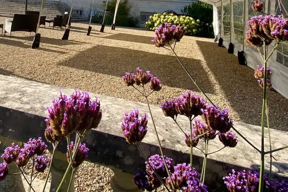 Monbarnum — photo 4