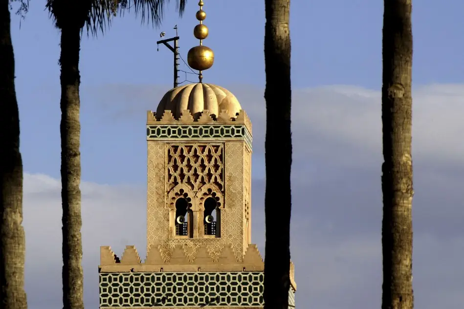 Media Voyages — photo 6