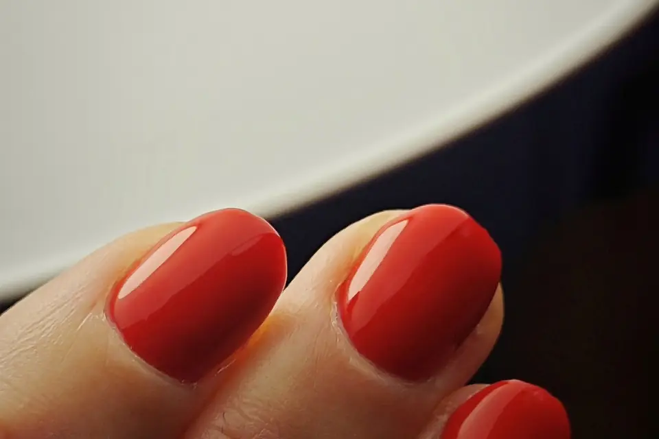 Fancy Factory — photo 7