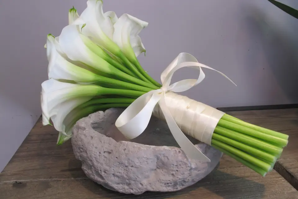 La Fleureuse — photo 3