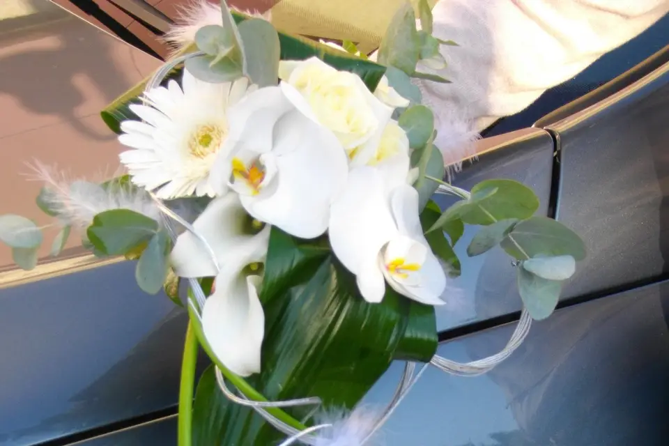 Fleurs Do' — photo 4