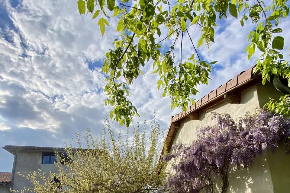 La Cour du Domaine — photo 5