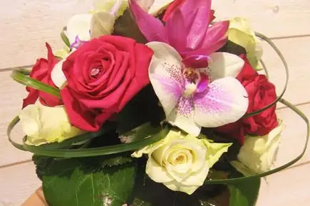 Stéphanie Gamboa — photo 1