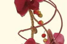 Stéphanie Gamboa — photo 3