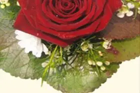 Stéphanie Gamboa — photo 5